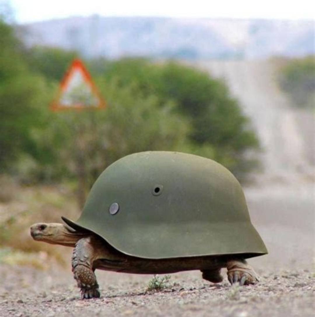 صورة المستخدم